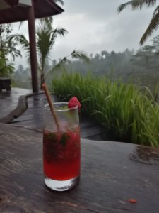 There's always time to enjoy a cocktail on your first visit to Bali. It helps pass the time when it's overcast and rainy in Ubud