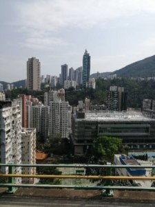 View from the Number 15 bus on route up to the Peak