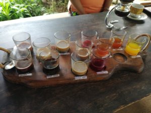 Several small cups containing different teas and coffees for tasting as part of the Luwak coffee experience