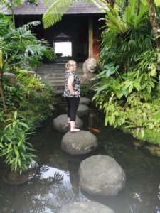 Stepping stones in a large pond, a feature of the 4 star villa where we stayed in Ubud