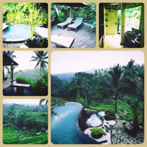 A photo collage showing images taken from Adiwana Dara Ayu villas in Ubud, Bali showing the private villa and infinity pool