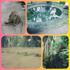 The Monkey Forest in Ubud is somewhere you can spend an afternoon in nature 